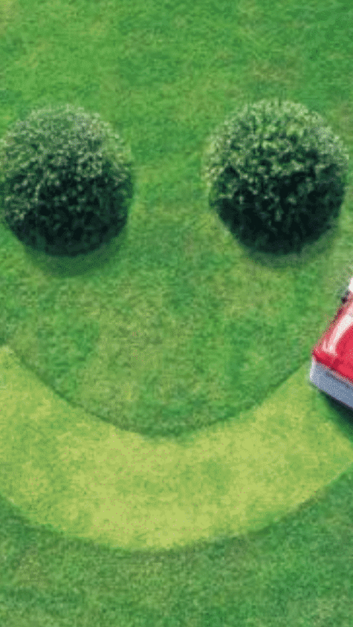 happy lawn